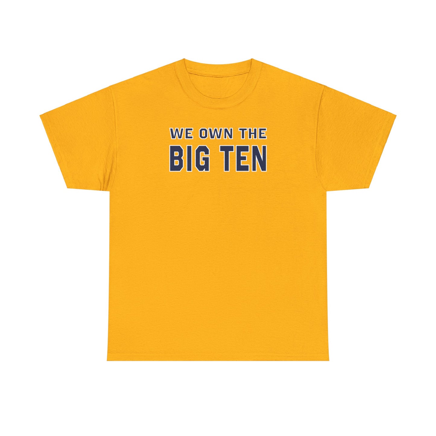 We Own the Big Ten Tee