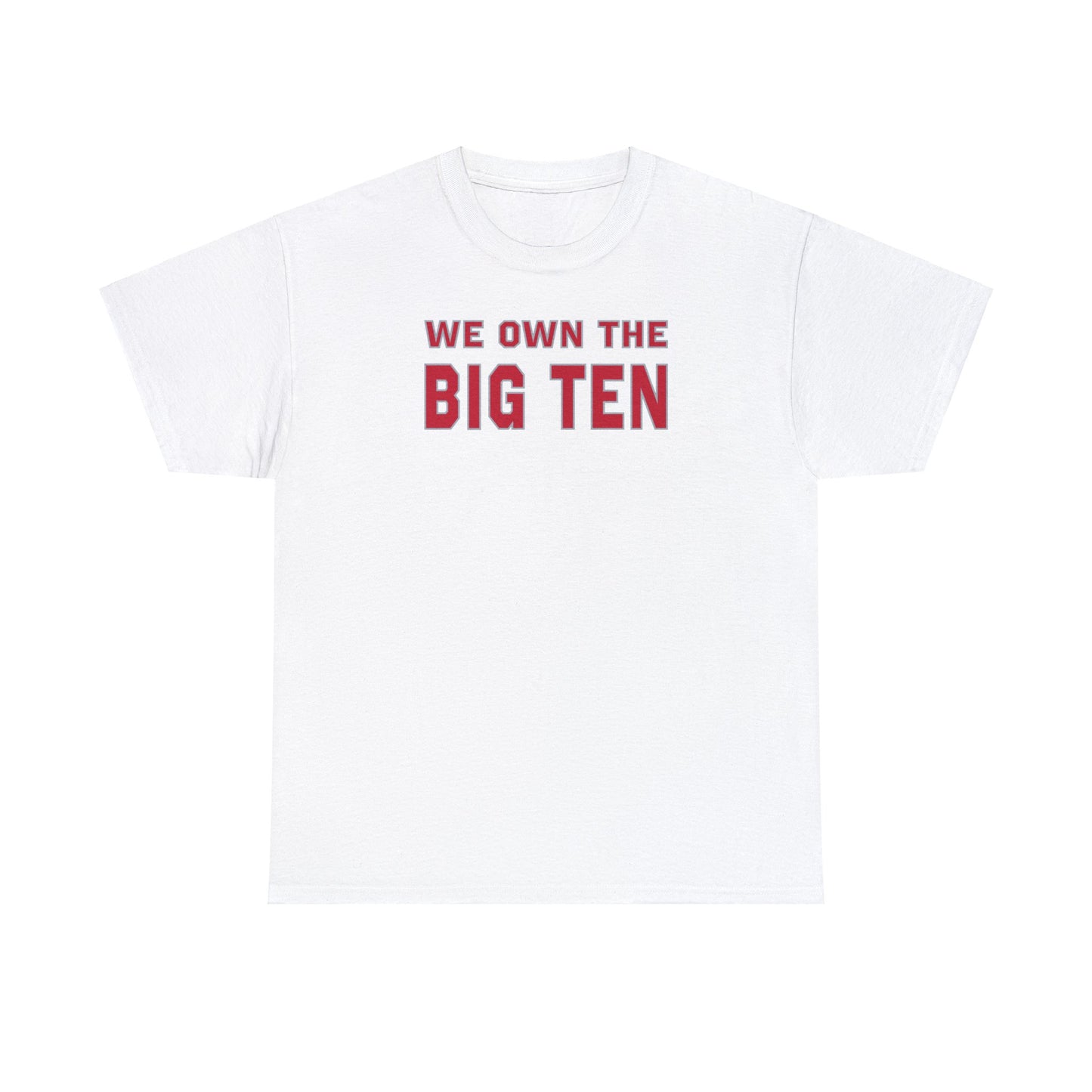 We Own the Big Ten Tee