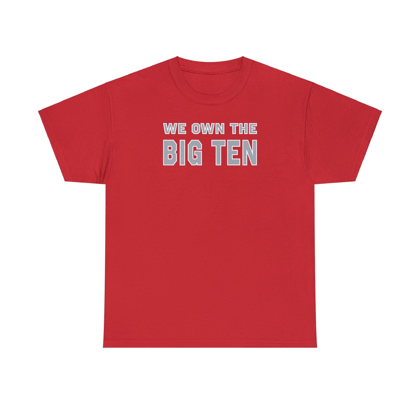 We Own the Big Ten Tee